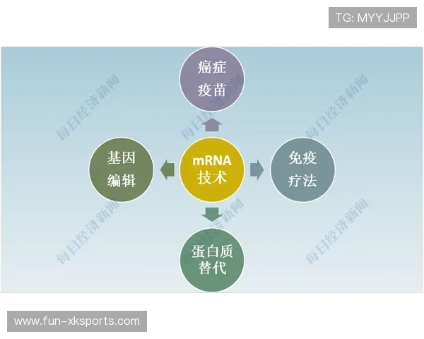 切尔西计划与国际医疗机构合作优化康复流程:打造未来康复新蓝图